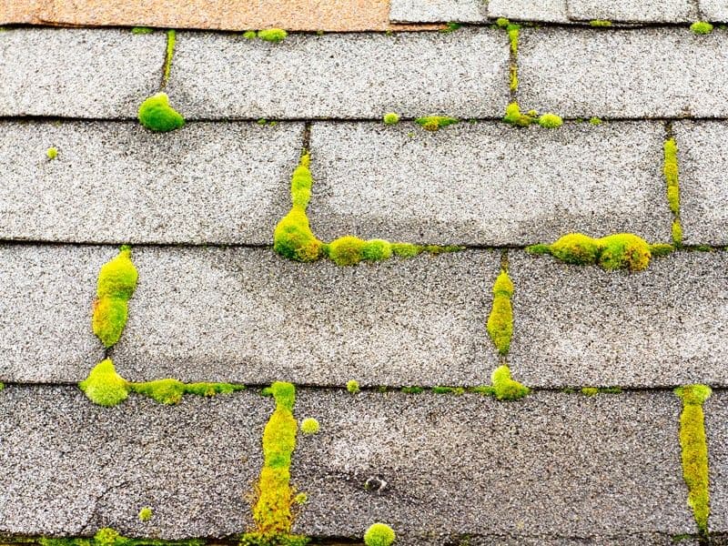 b95039f2-8250-4570-af2f-f7c7dcc773f2